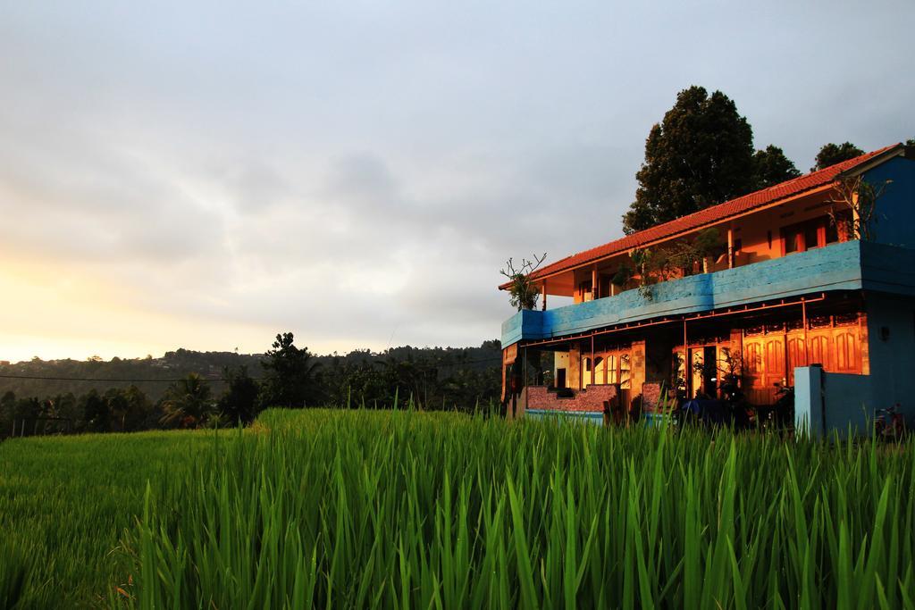 Gangga Homestay 문덕 외부 사진